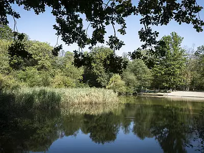 Les Allées Claire Fontaine