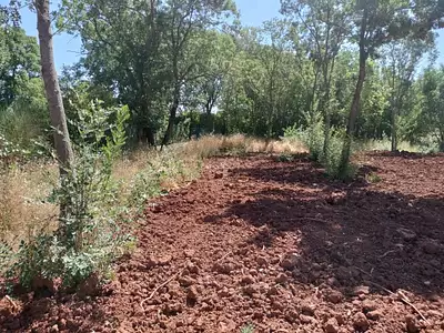 Terrain à bâtir, 393 m²