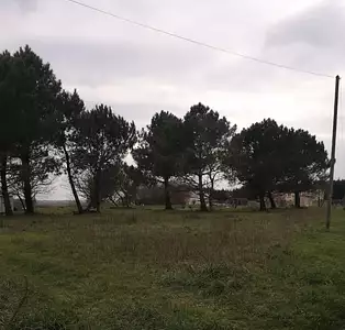 Maison neuve, 65 m²