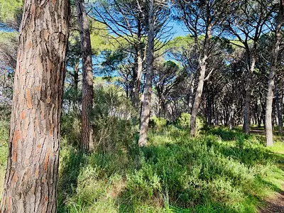 Terrain à bâtir, 2 150 m²