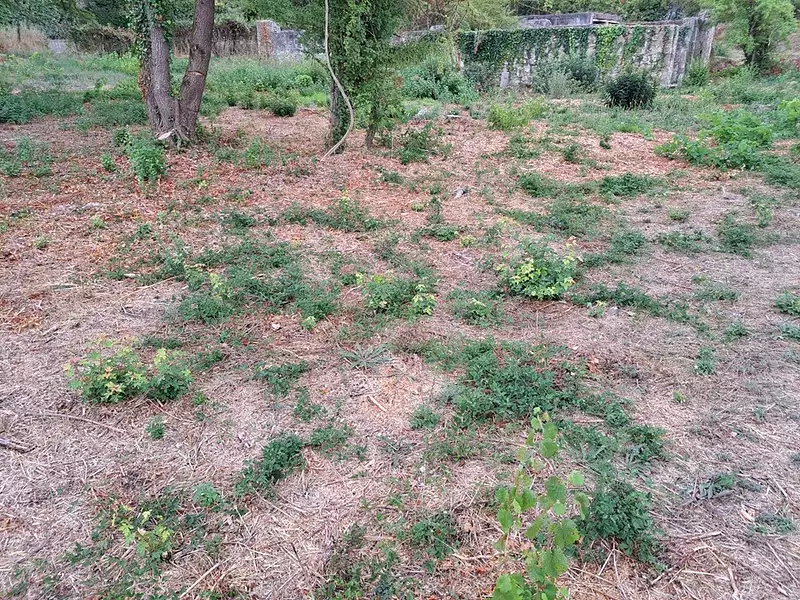 Terrain à bâtir, 405 m² - Fuveau (13710)