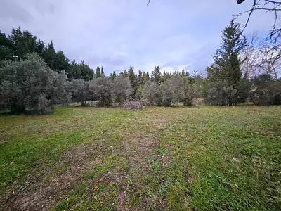 Maison neuve, 90 m²