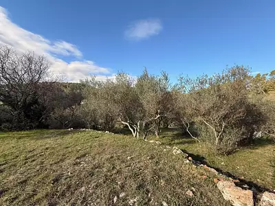 Terrain à bâtir, 1 005 m²