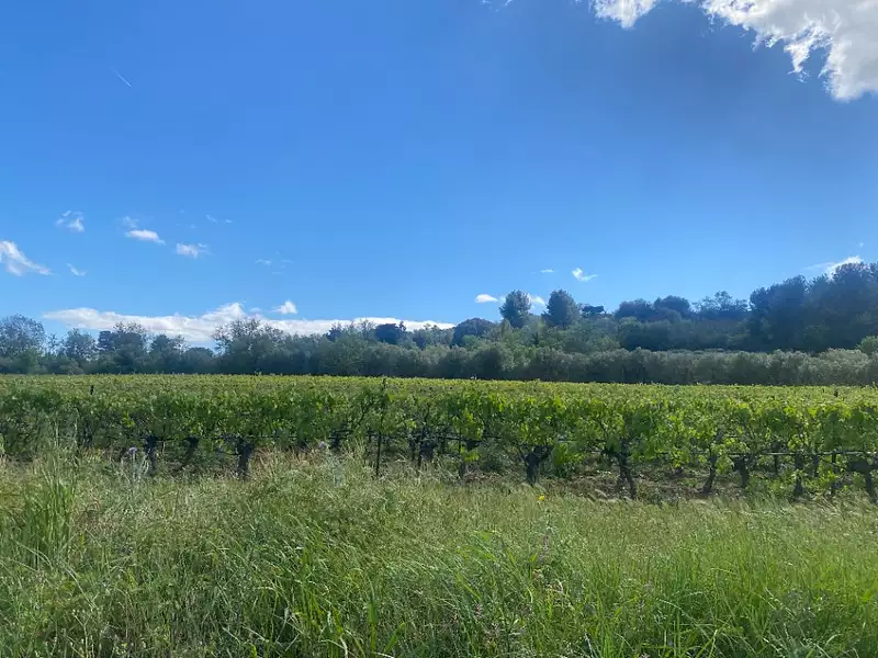 Maison neuve, 134 m² - Ginestas (11120)