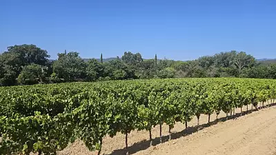 Terrain à bâtir, 540 m²