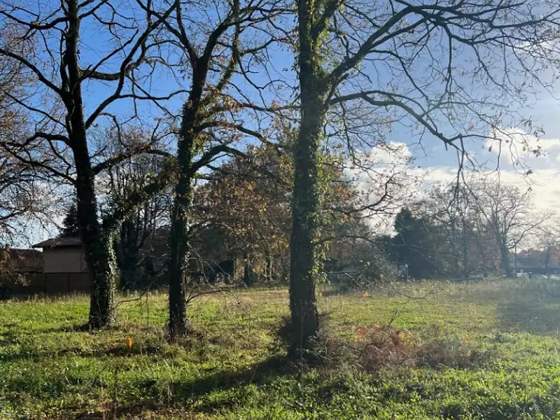 Maison neuve, 139 m² - Le Teich (33470)