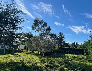 Terrain à bâtir, 890 m²