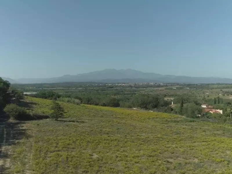 Terrain à bâtir, 490 m² - Banyuls-dels-Aspres (66300)