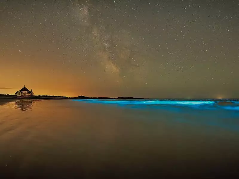 Terrain à bâtir, 462 m² - Sarzeau (56370)