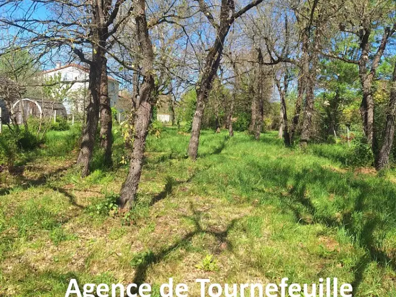 Maison neuve, 110 m² - Bragayrac (31470)