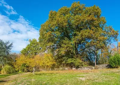Terrain à bâtir, 675 m²