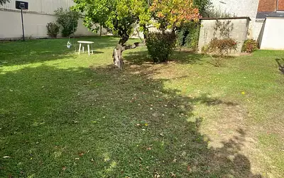 Terrain à bâtir, 539 m²