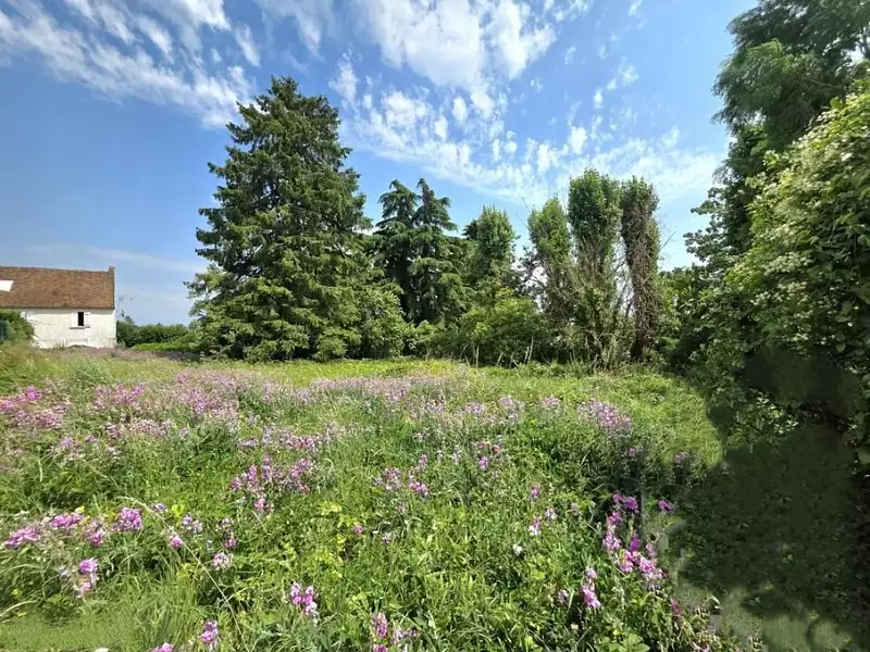Terrain à bâtir, 659 m² - Epiais-Rhus (95810)