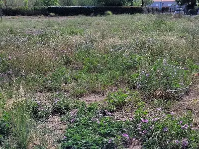 Maison neuve, 110 m²