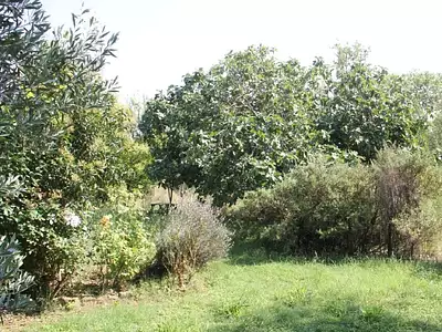 Terrain à bâtir, 720 m²