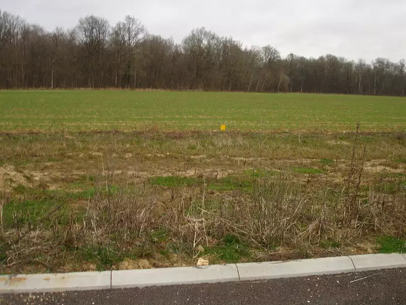 Terrain à bâtir, 326 m² - Longueville (77650)