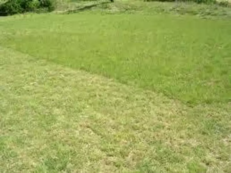 Terrain à bâtir, 420 m² - Brem-sur-Mer (85470)