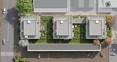 TIERNI