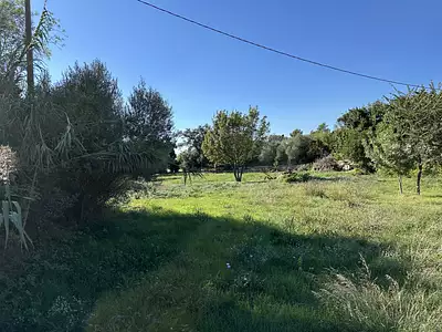 Maison neuve, 65 m²