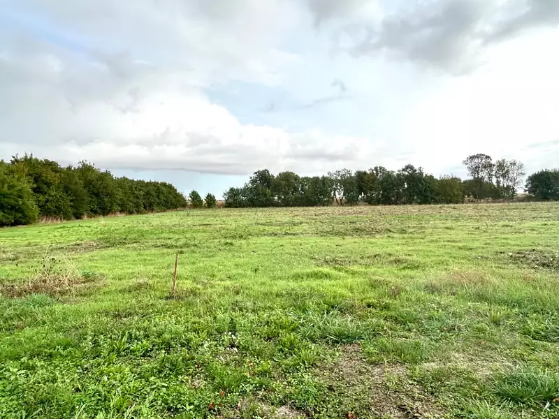 Terrain à bâtir, 297 m² - Saint-Georges-du-Bois (17700)