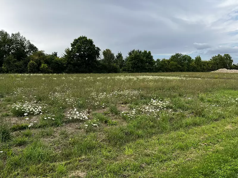 Maison neuve, 93 m² - Sainte-Maure (10150)