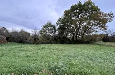 Terrain à bâtir, 1 137 m²