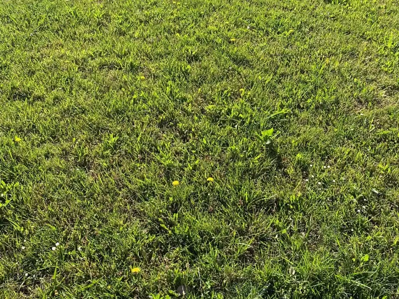 Terrain à bâtir, 650 m² - Le Teich (33470)