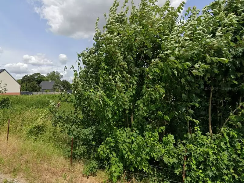 Maison neuve, 60 m² - Rumaucourt (62860)