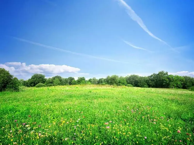 Terrain à bâtir, 540 m² - Azay-sur-Cher (37270)