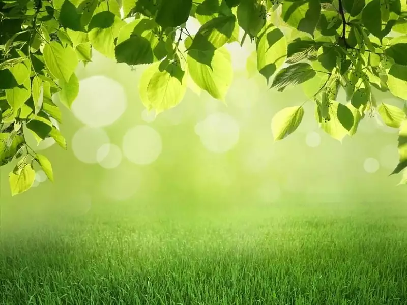 Terrain à bâtir, 680 m² - Soustons (40140)