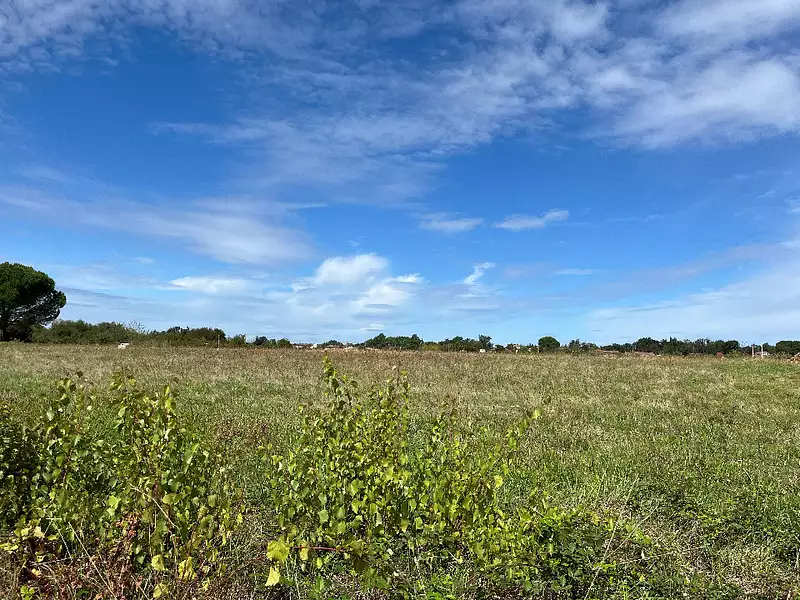 Terrain à bâtir, 900 m² - Lagrave (81150)
