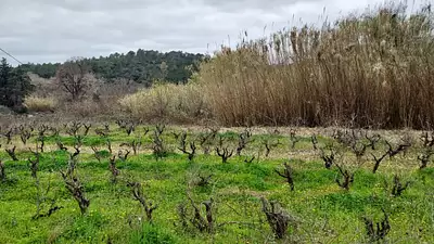 Maison neuve, 99 m²