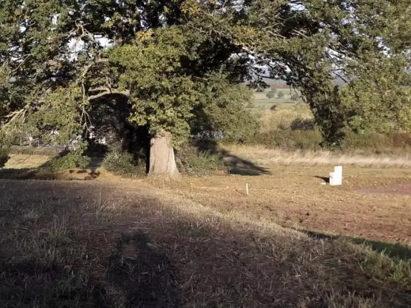 Maison neuve, 82 m² - Autun (71400)