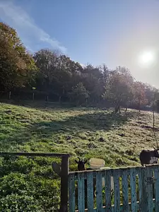 Terrain à bâtir, 1 000 m²