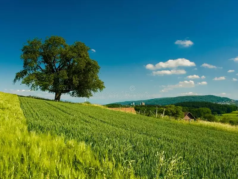 Terrain à bâtir, 641 m² - Beaumont-Louestault (37360)