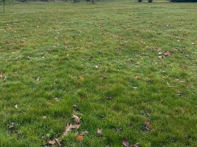 Terrain à bâtir, 635 m² - Replonges (01750)
