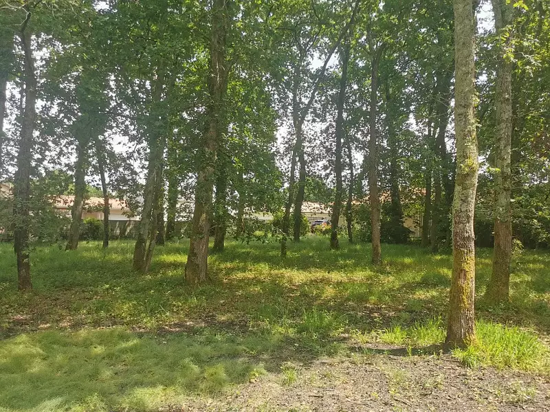 Terrain à bâtir, 1 034 m² - Audenge (33980)