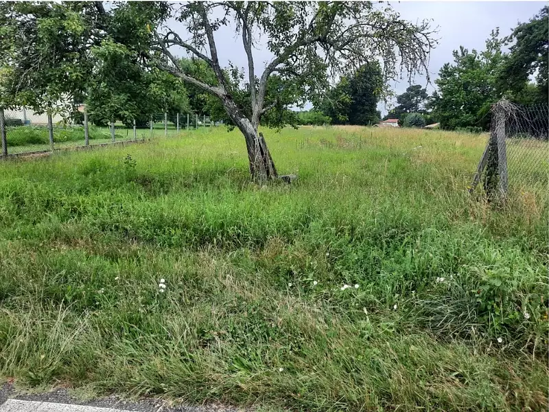 Maison neuve, 100 m² - Pissos (40410)