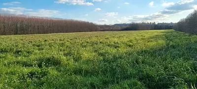 Terrain à bâtir, 422 m²