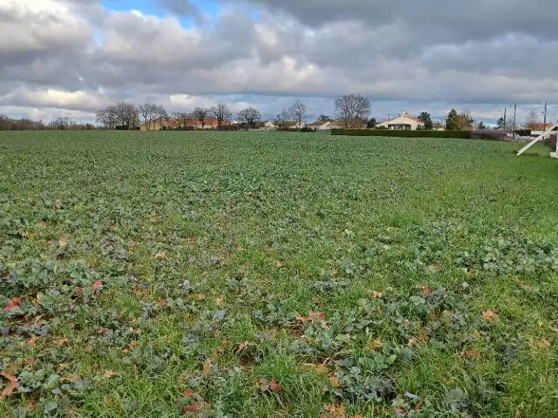 Terrain à bâtir, 249 m² - Legé (44650)