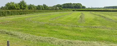 Maison neuve, 114 m²