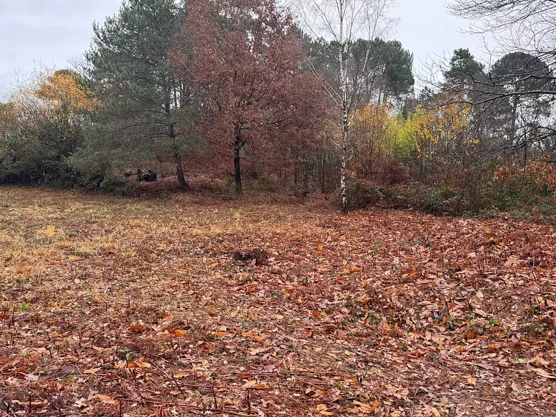 Terrain à bâtir, 2 499 m² - Chancelade (24650)