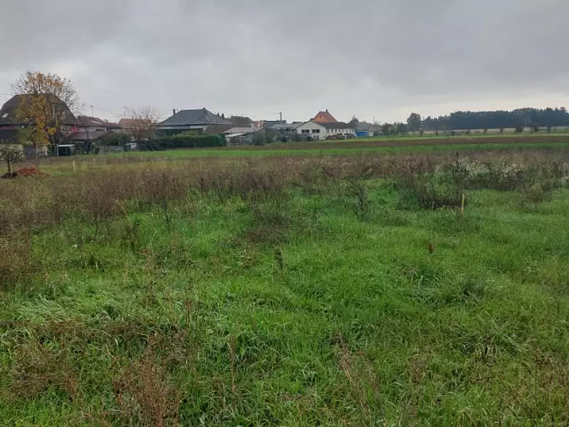 Maison neuve, 131 m² - Wolfgantzen (68600)