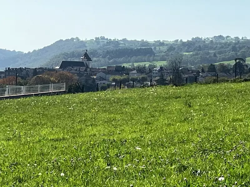 Terrain à bâtir, 1 650 m² - Saint-Etienne-de-Maurs (15600)