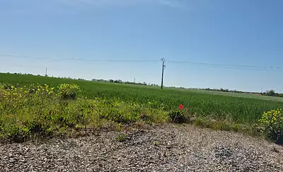 Terrain à bâtir, 272 m²