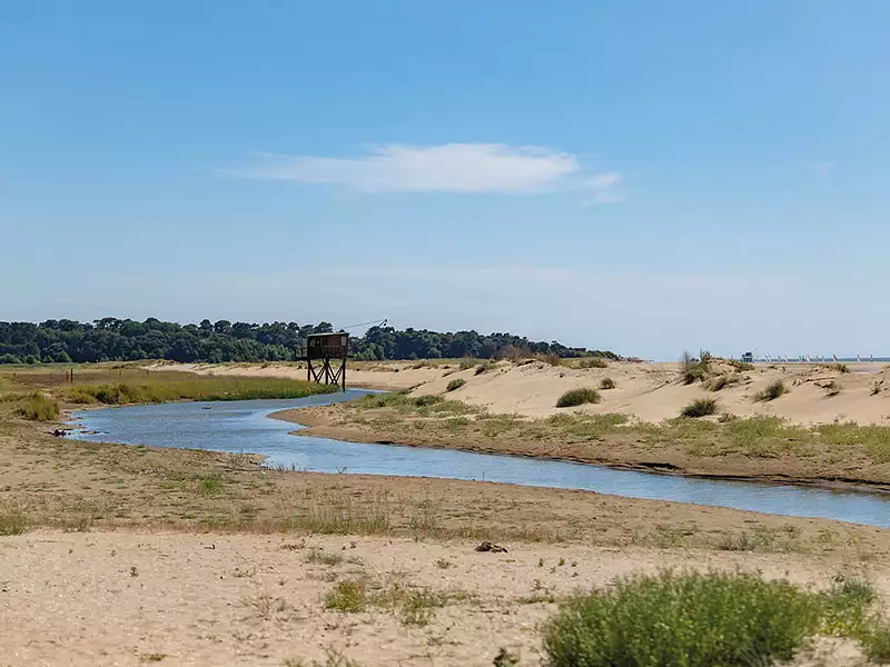 ALBATROS - Saint-Brevin-les-Pins (44250)
