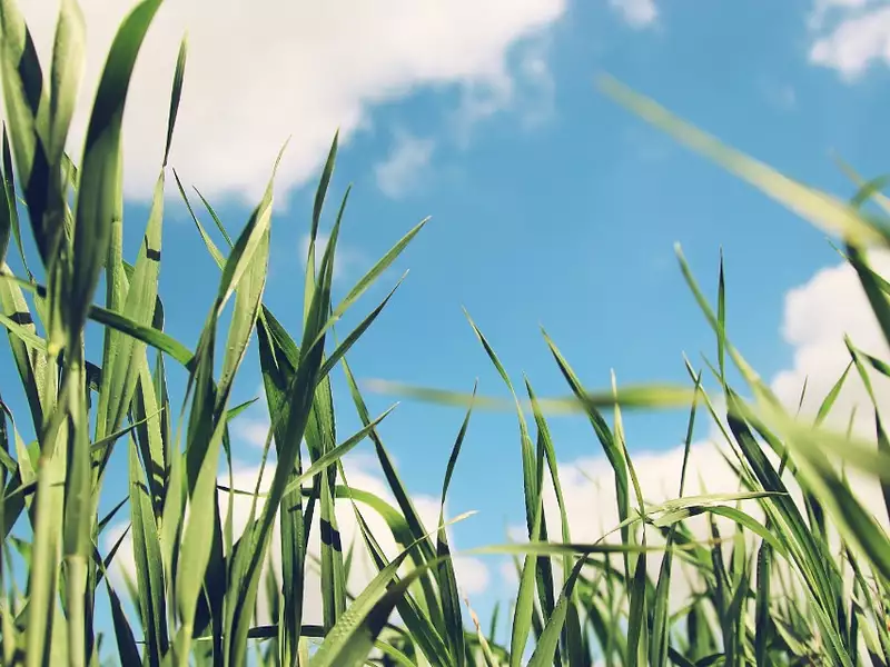 Terrain à bâtir, 613 m² - Mios (33380)