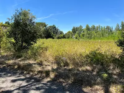 Terrain à bâtir, 1 006 m²