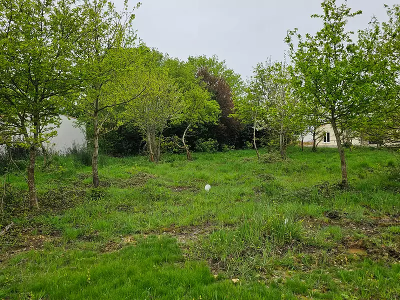 Maison neuve, 91 m² - Saint-Sulpice-de-Pommeray (41000)