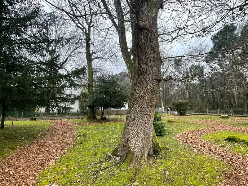Terrain à bâtir, 617 m² - Gradignan (33170)